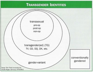 NYAGRA circles diagram