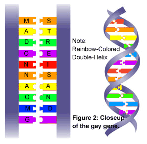 hypothesis on lgbt